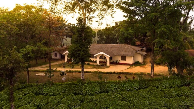 Hotel Ama Plantation Trails , Coorg