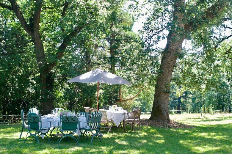 Hotel Ch�teau de Dourn�s - Chambres D'hotes