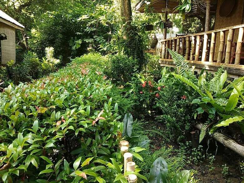 Hotel Nelly's Nipa Hut