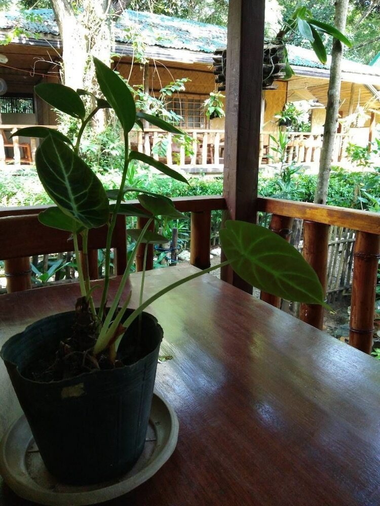 Hotel Nelly's Nipa Hut