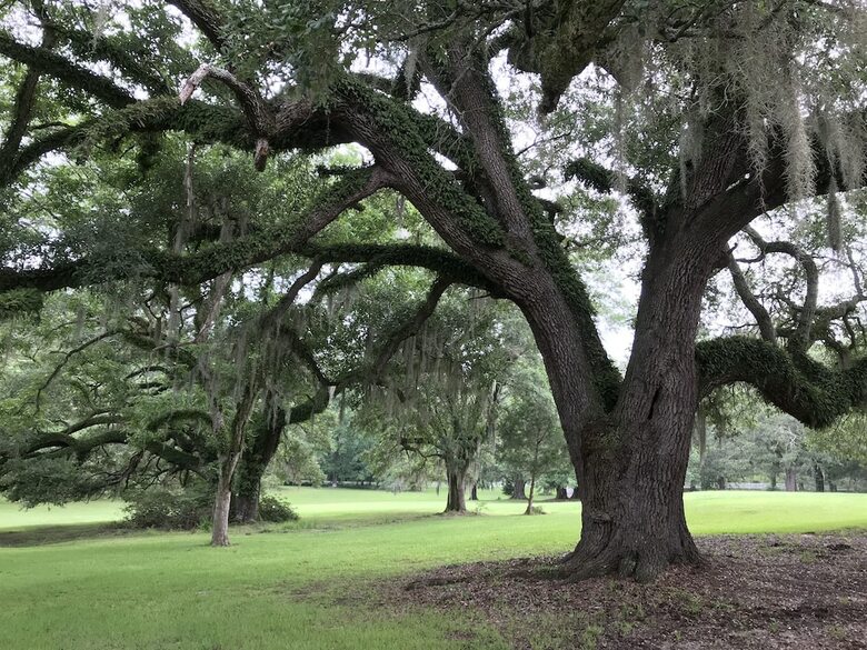 Bed & Breakfast Canemount Plantation Inn