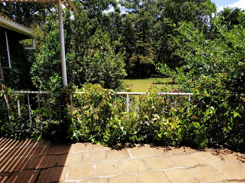 Hotel Zereniti House