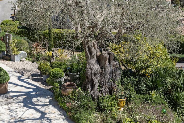 Bed & Breakfast Chambres D'h�tes Villa C�dria