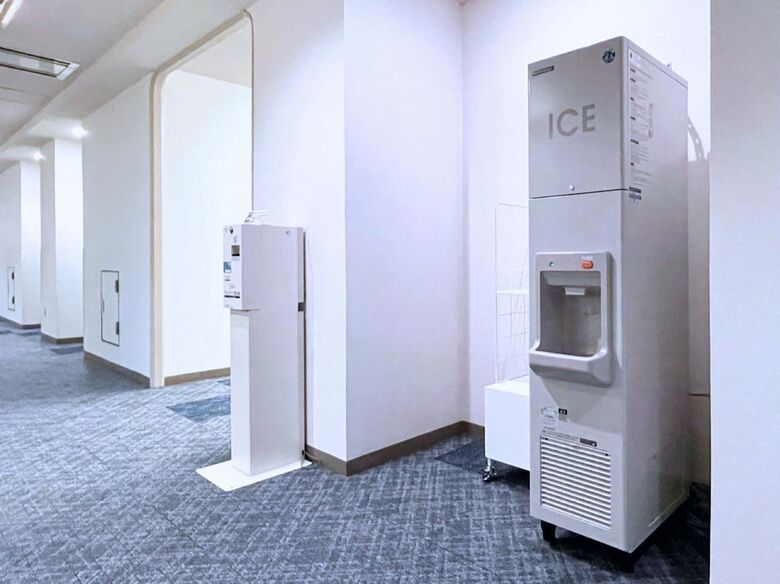 Hotel Vista Kamata Tokyo