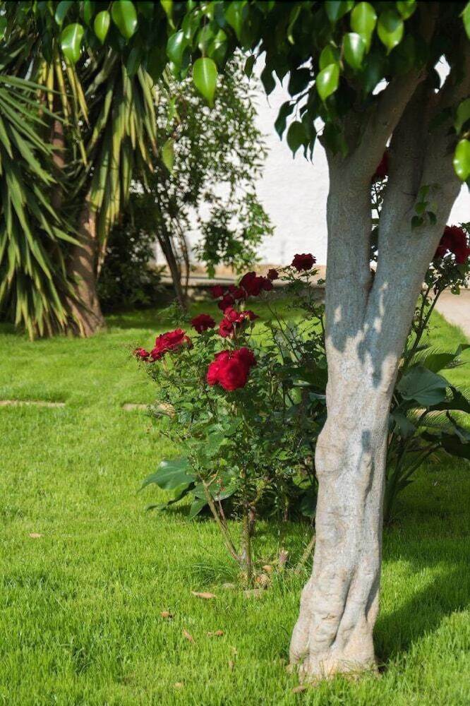 Bed & Breakfast L'oasi Di Giorgia