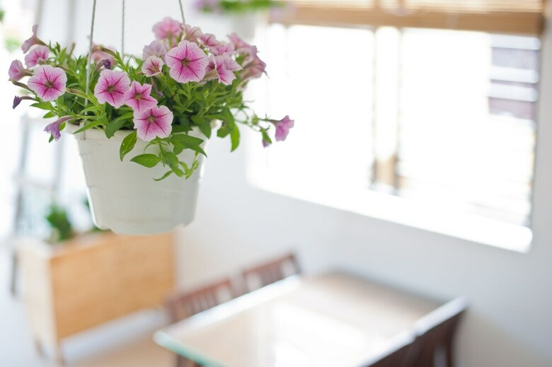 Hotel Hue Sweethouse 2 Homestay