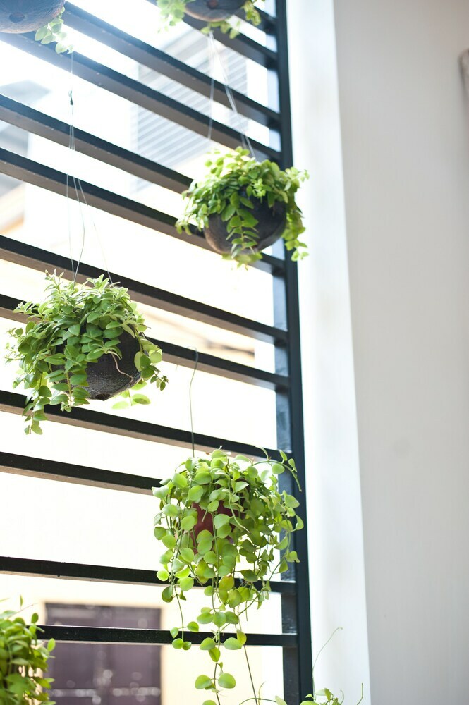 Hotel Hue Sweethouse 2 Homestay