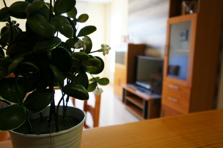 Apartamentos Parque Salinas