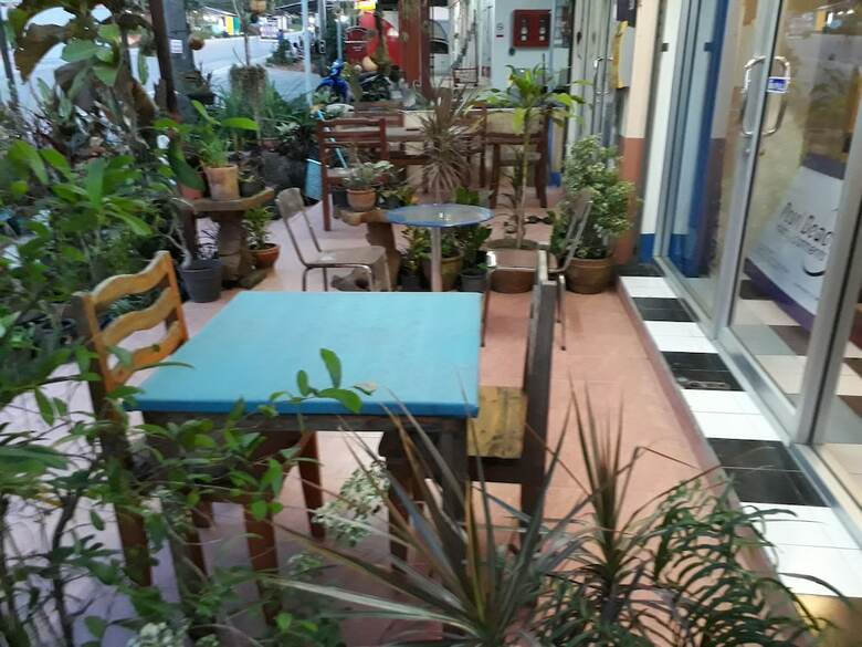 Hotel Pearl Beach Holiday Apartments