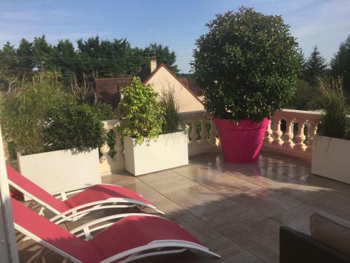 Escale de Jules & Lily -l'appartement-