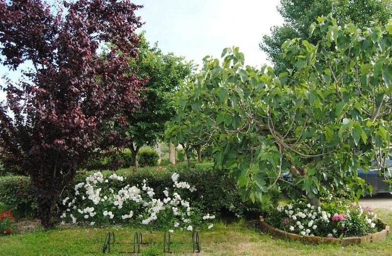 Agroturismo Agriturismo Il Barco