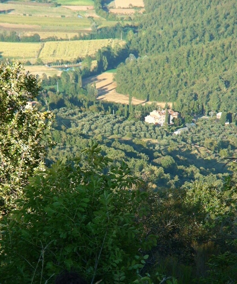 Agroturismo Borgo Del Senatore