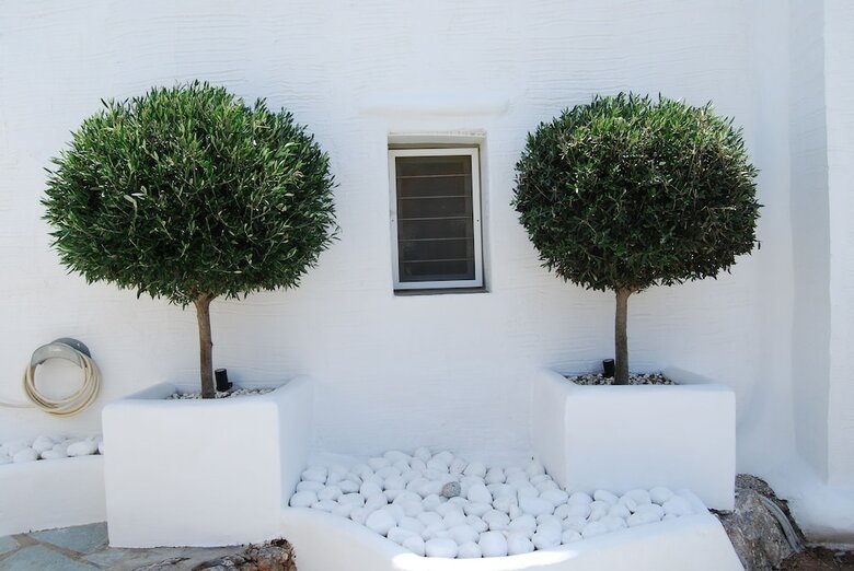 Apartamentos Maistrali Studio - House Levante
