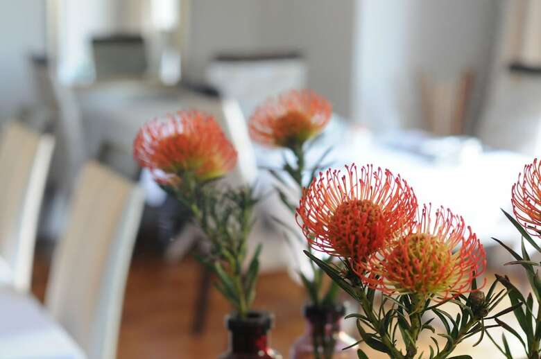 Hotel Abbey Manor Luxury Guesthouse
