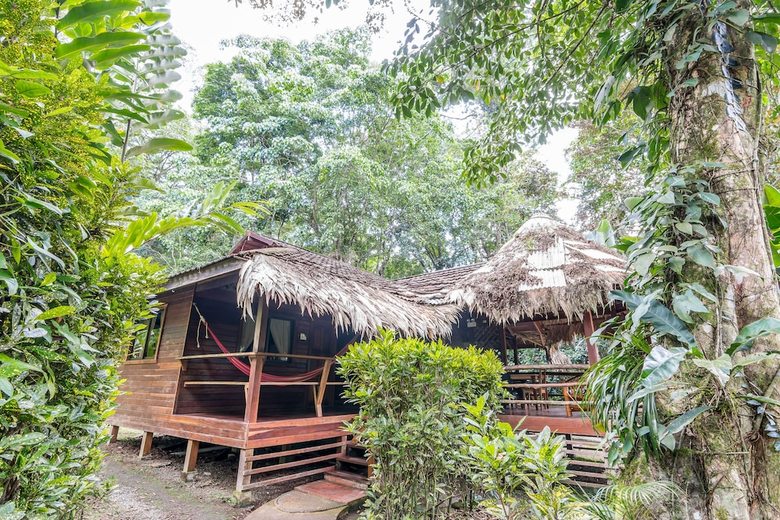 Hotel Cariblue Beach And Jungle Resort