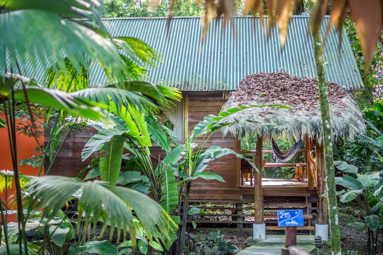 Hotel Cariblue Beach And Jungle Resort