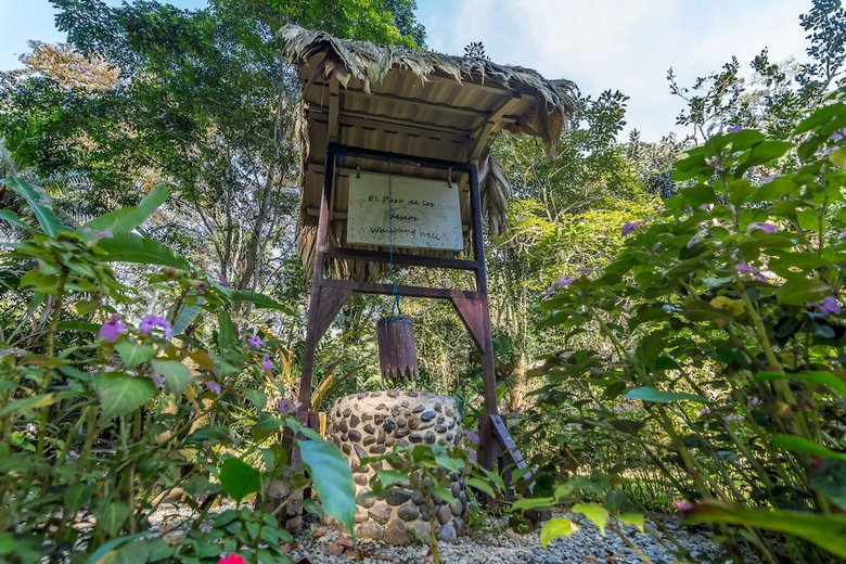 Hotel Cariblue Beach And Jungle Resort