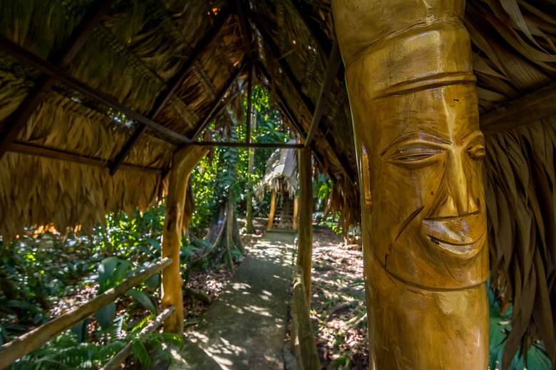 Hotel Cariblue Beach And Jungle Resort