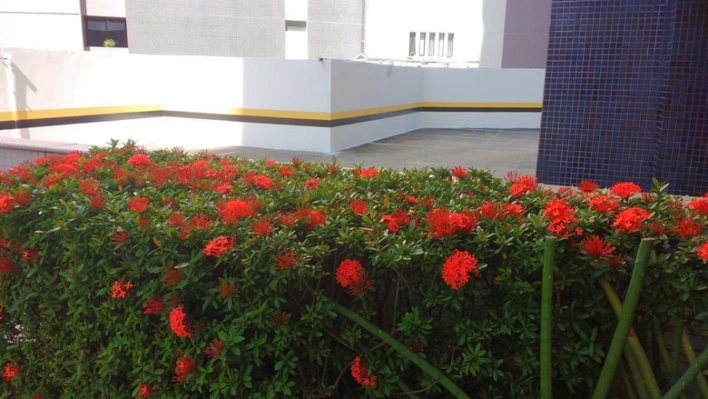 Apartamento Itaigara