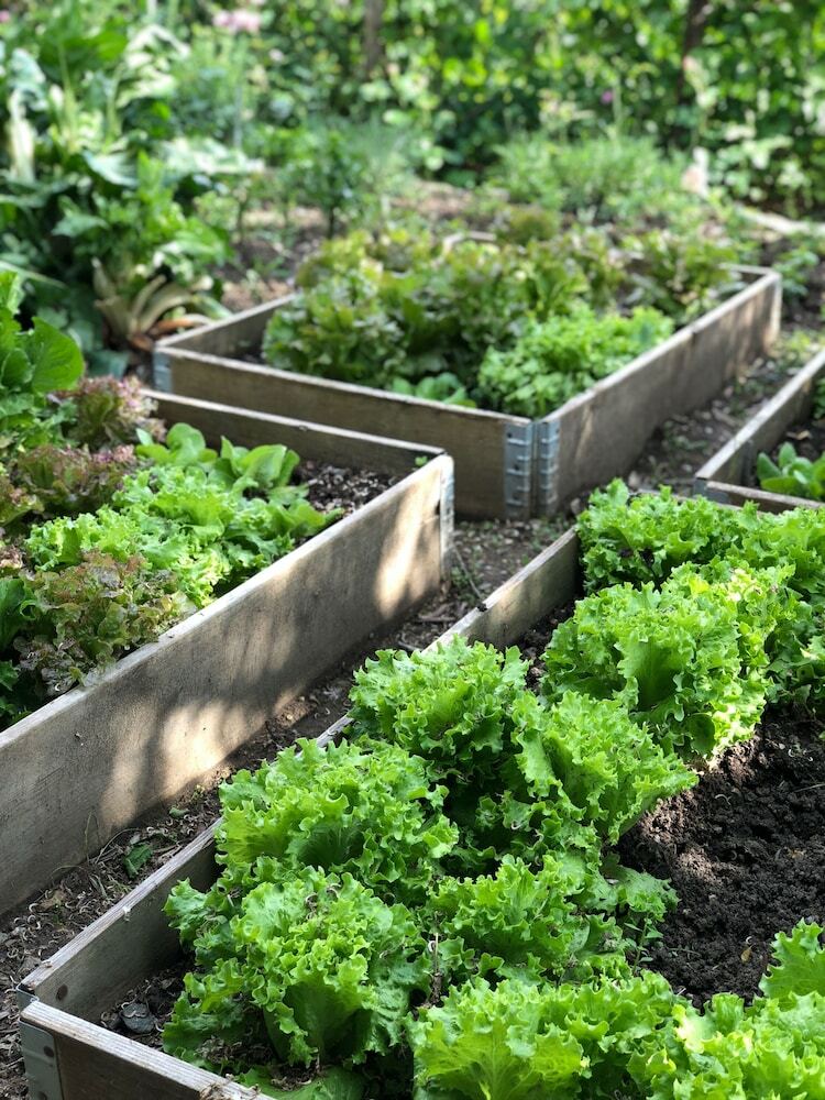 Apartamento Settignano Tuscany Homes