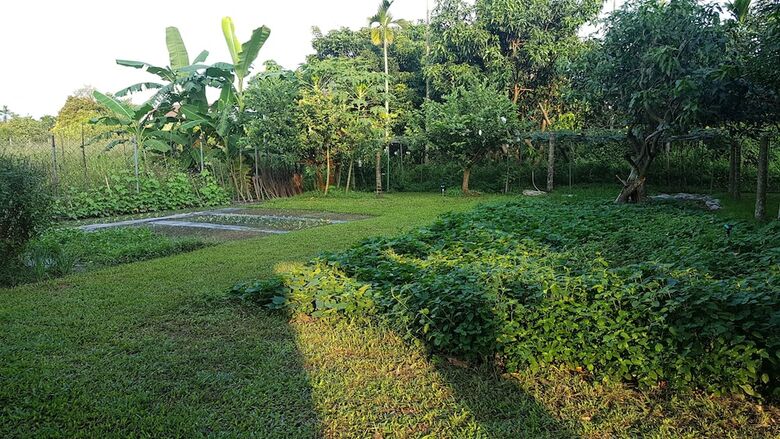 Bed & Breakfast Pingtung Happiness Garden