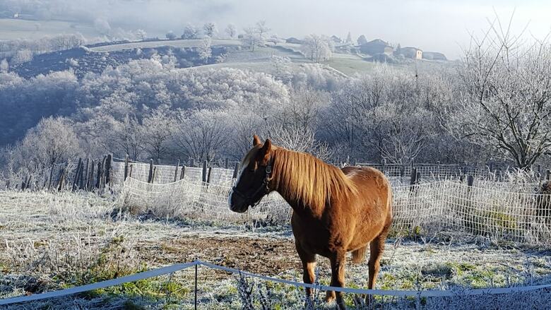 Bed & Breakfast La Benvenguda