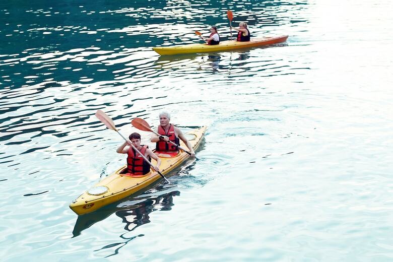 White Dolphin Cruise
