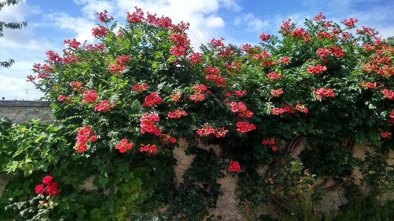 Bed & Breakfast Chambres D'h�tes Domaine Du Hutrel