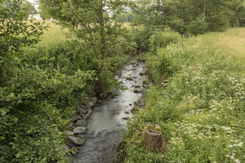 Hotel Naturmed Bad Endbach
