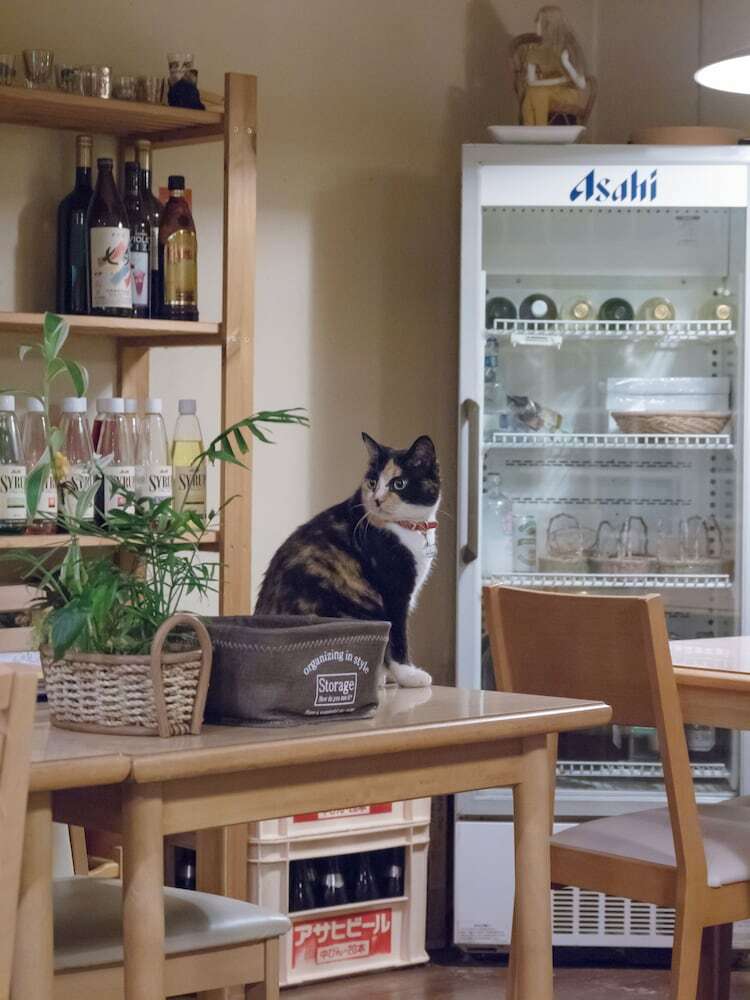 Hotel Guesthouse Curry Village