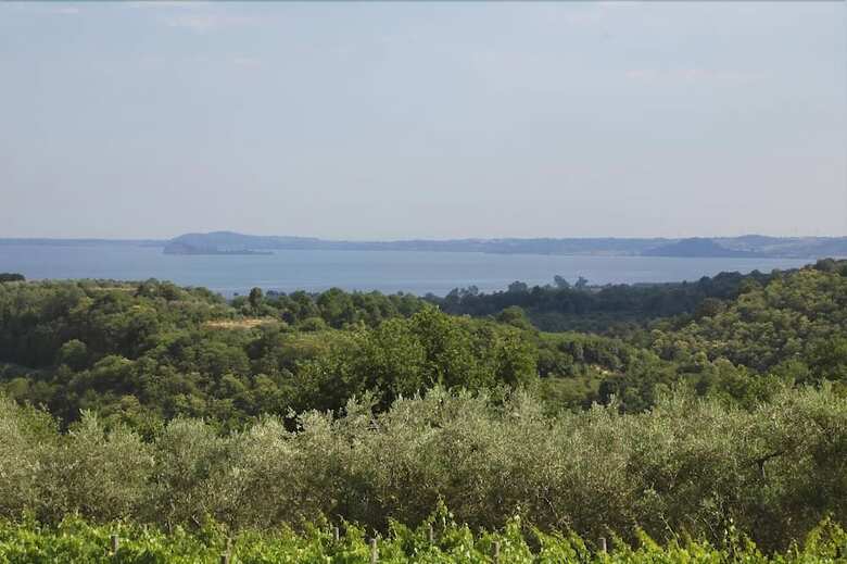 Verdidea - Villa Degli Olivi