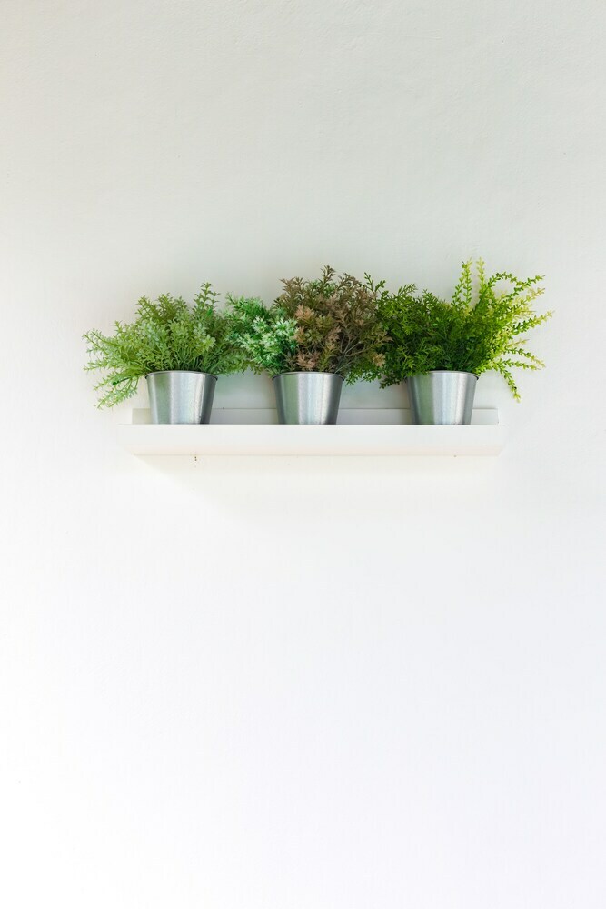 Hotel The Seaton House Phuket