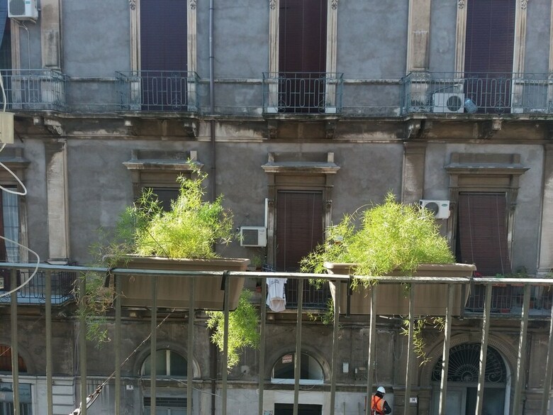 Apartamento I Loft Di Elvira