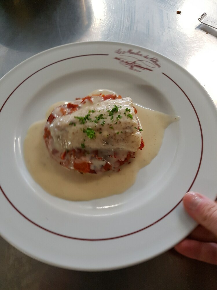 Hotel H�tel Restaurant Le Moulin Du Plain