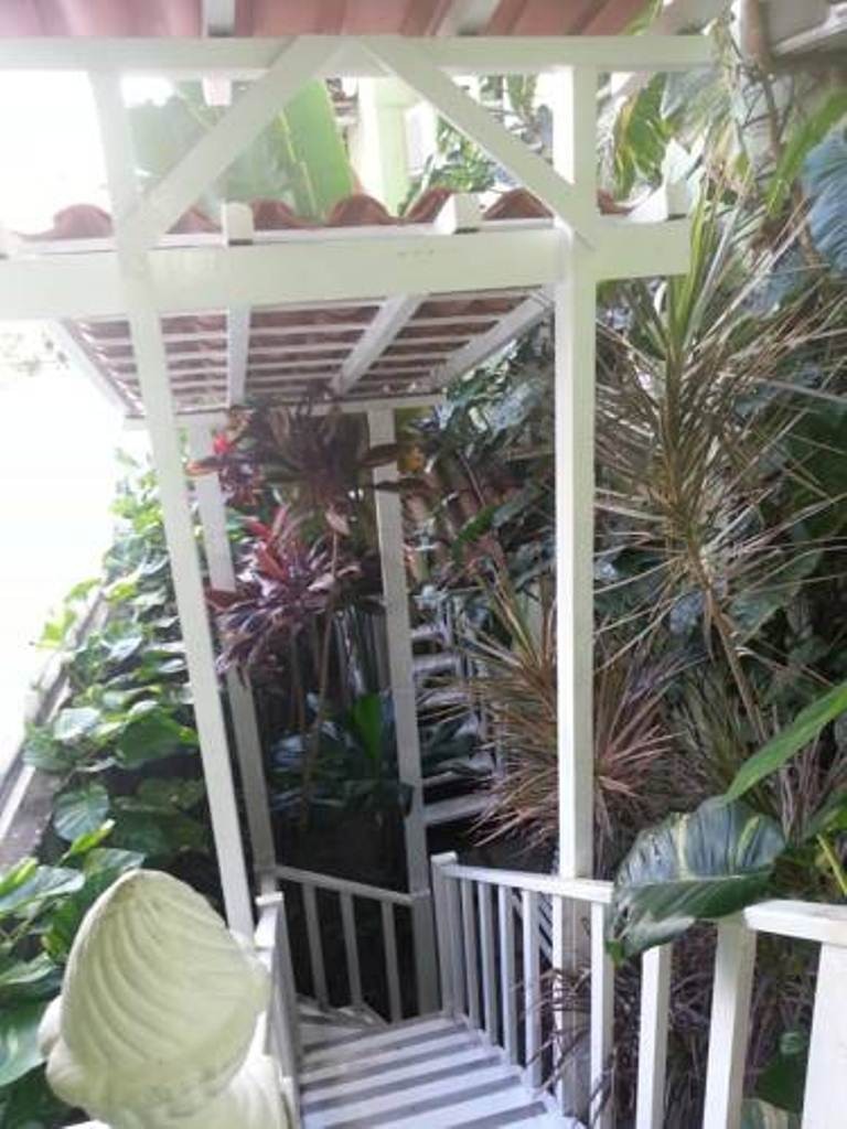 Hotel Pousada Papaya Verde