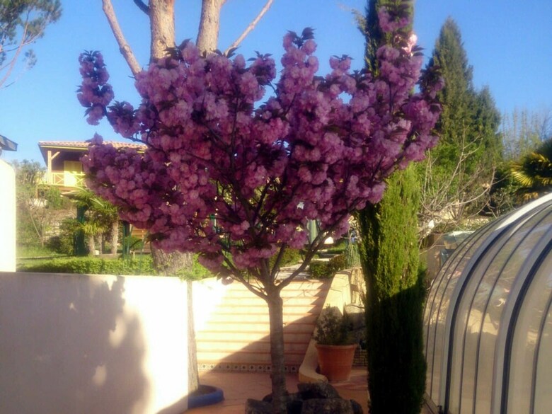 Les Flach�res - Villa Bellevue