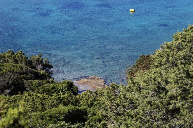Club Hotel Cormorano