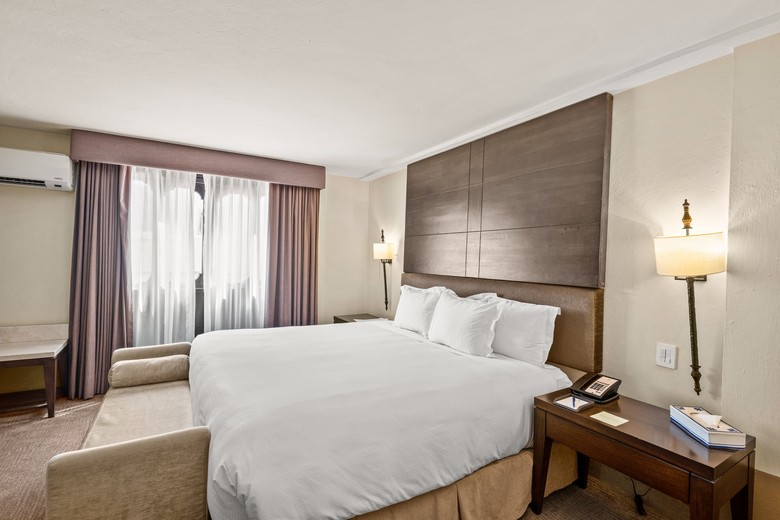 Hotel Camino Real Puebla Centro