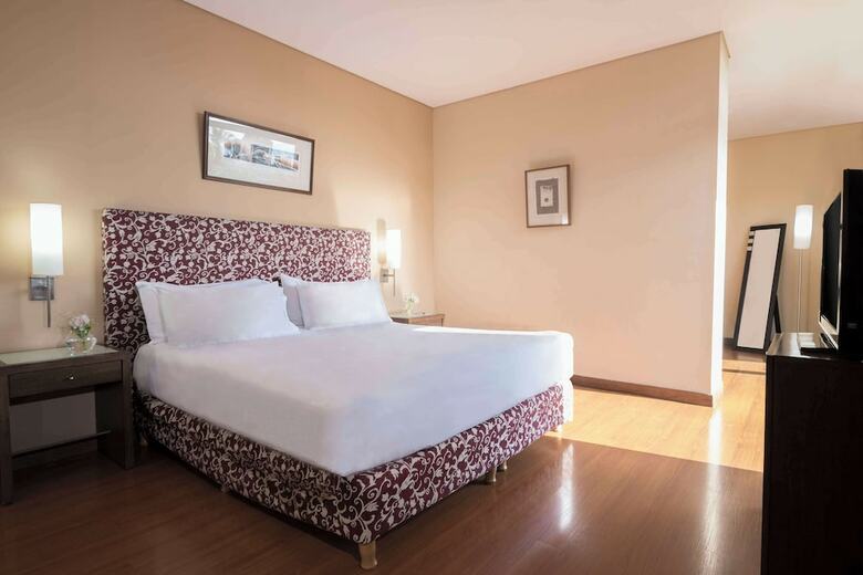 Hotel NH Mendoza Cordillera