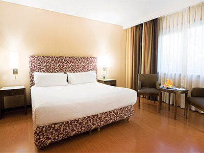 Hotel NH Mendoza Cordillera