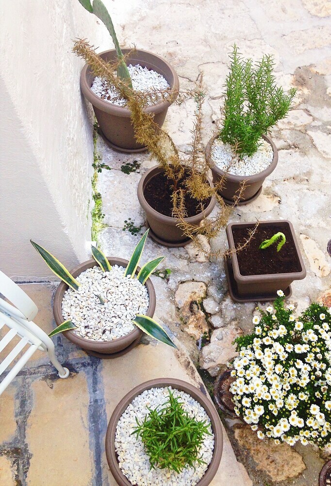 Bed & Breakfast Donna Piera - Dimore Di Charme