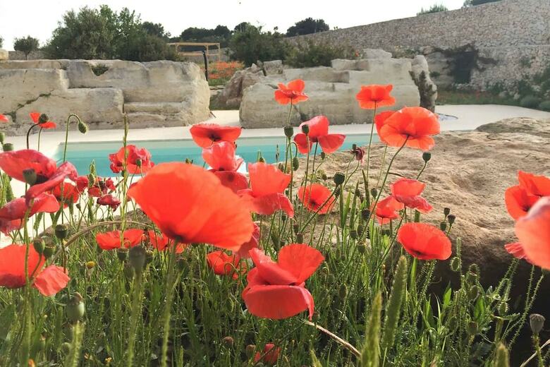 Bed & Breakfast Masseria Gelsi