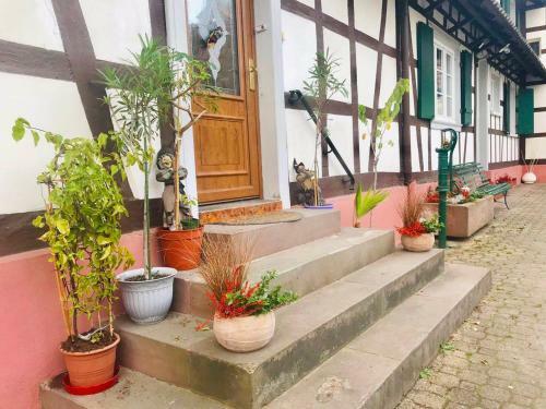 Apartamento Appartement Aux Deux Cigognes
