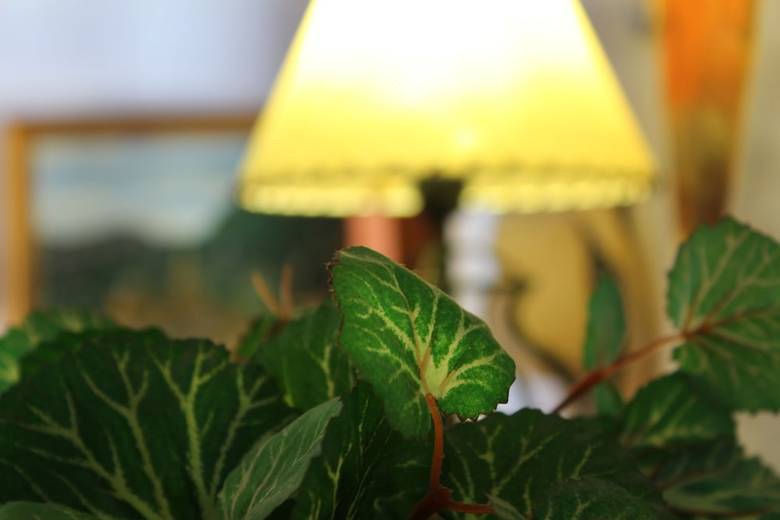 Apartamentos The Fisher Holiday Home