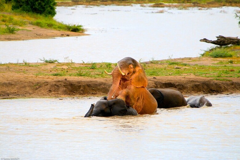 Posada Lindiwe Safari Lodge