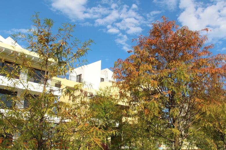 Hualien Fengstay B&B