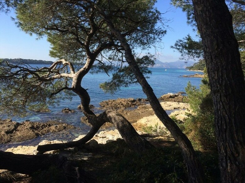 Apartamento Cannes Design Vue Mer