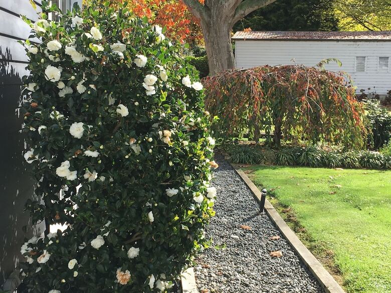 Bed & Breakfast Karapiro Willows Luxury B & B