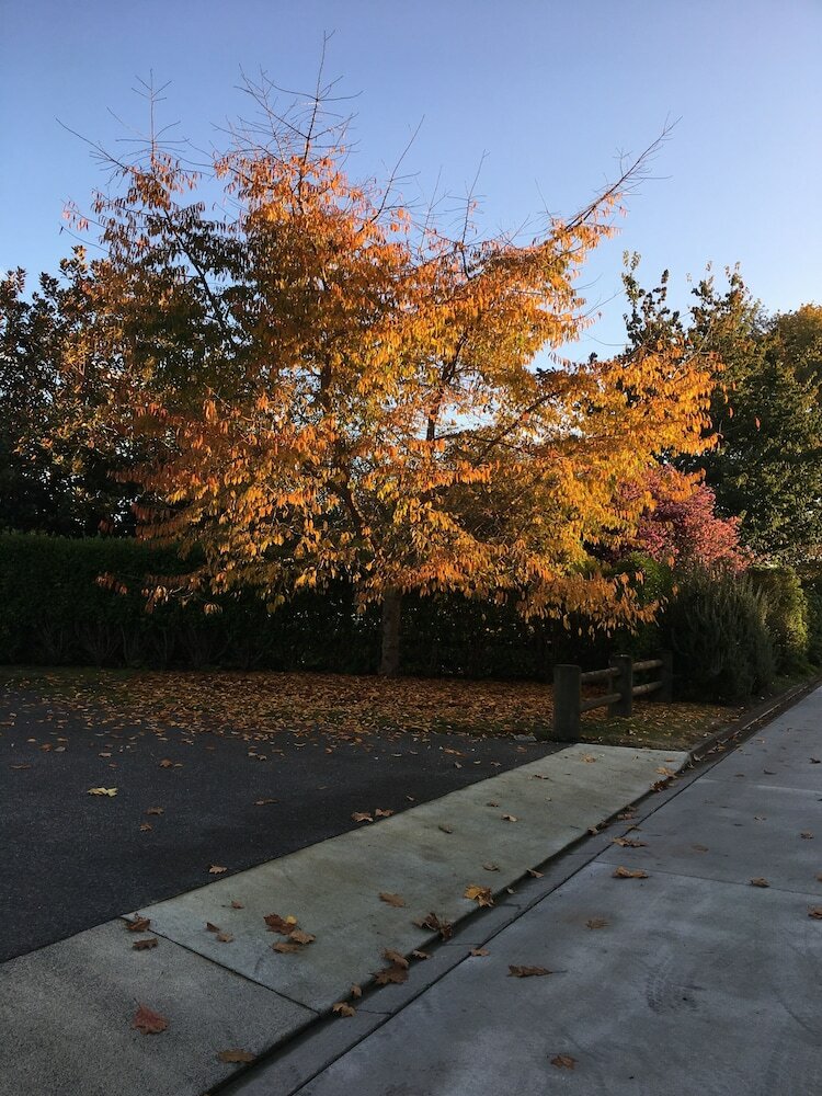 Bed & Breakfast Karapiro Willows Luxury B & B