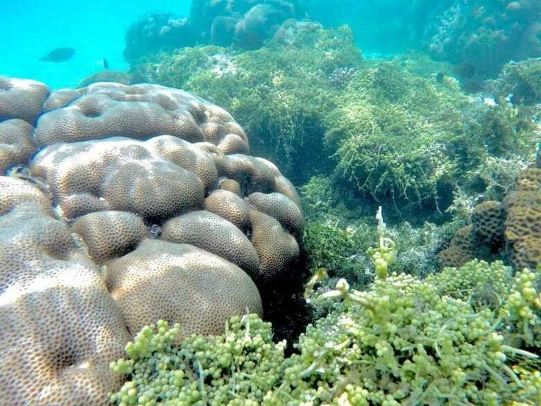 Hotel White Lagoon Fehendhoo